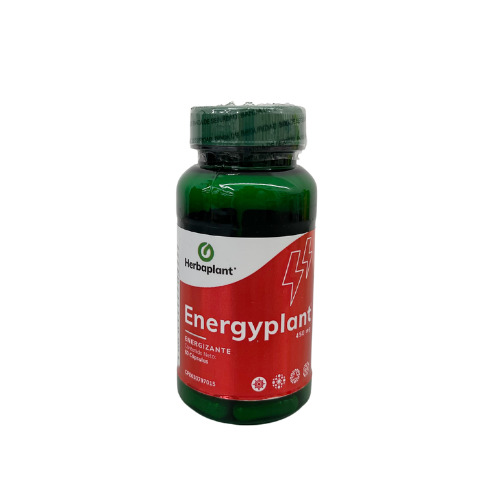 Producto -                         